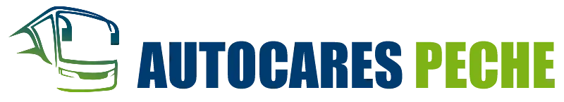 Autocares Peche logo